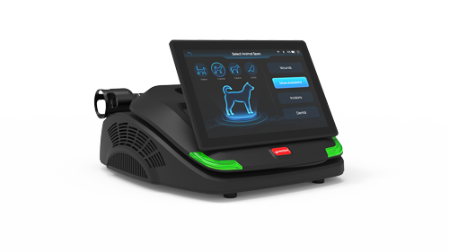 ReGen Laser T62